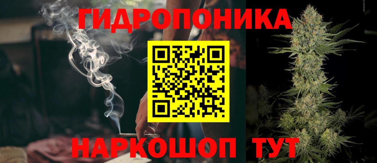 Шишки марихуана Amnesia  Каннабис ГИДРОПОН  Марихуана Bruce Banner  Чебоксары  Канабис план  Вход с VPN 
